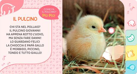 Cuccioli. Primi suoni - Silvia D'Achille - 4