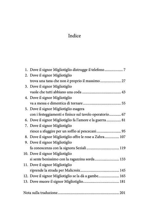 Mio fratello Simple - Marie-Aude Murail - 8