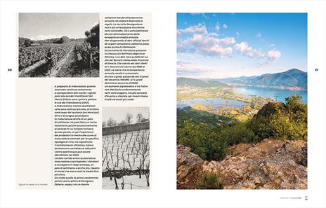 Franciacorta ieri, oggi, domani. Storie di vigne, cantine e uomini - Elio Ghisalberti - 3