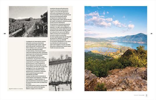 Franciacorta ieri, oggi, domani. Storie di vigne, cantine e uomini - Elio Ghisalberti - 3