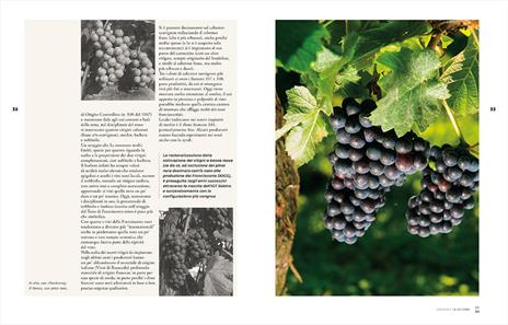 Franciacorta ieri, oggi, domani. Storie di vigne, cantine e uomini - Elio Ghisalberti - 5