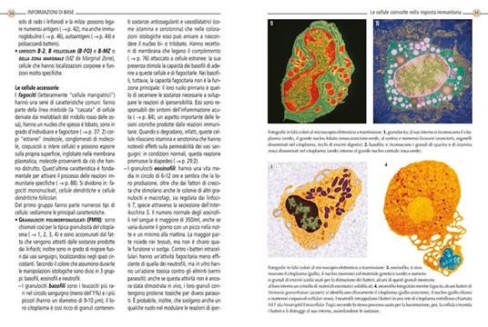 Sistema immunitario - 5