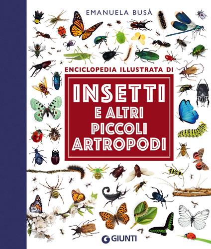 Insetti e altri piccoli artropodi. Ediz. illustrata - Emanuela Busà - ebook