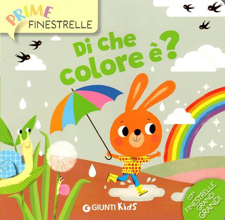 Di che colore è? Ediz. a colori - Anna Casalis - copertina
