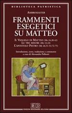 Frammenti esegetici su Matteo. Il Vangelo di Matteo (Mt 24,20-42). Le tre misure (Mt 13,33). L'apostolo Pietro (Mt 26,51-53-72-75)