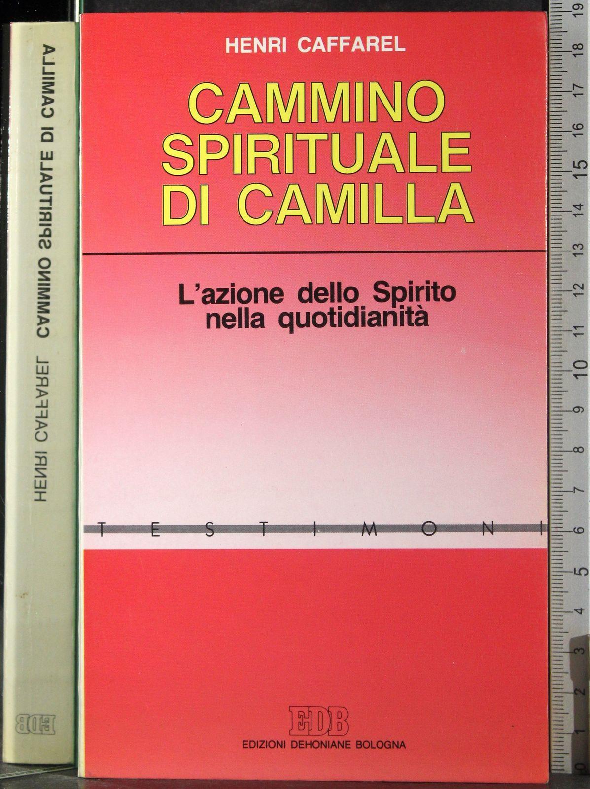 Cammino spirituale di Camilla. L'azione dello spirito nella quotidianità