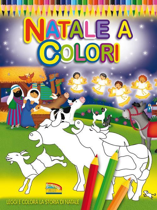 Natale a colori. Ediz. illustrata - Jan Godfrey,Paula Doherty - copertina