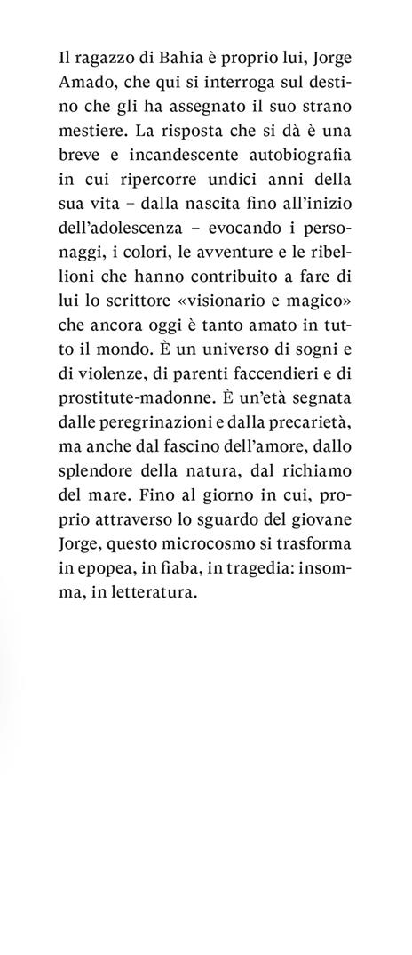 Il ragazzo di Bahia - Jorge Amado - 2