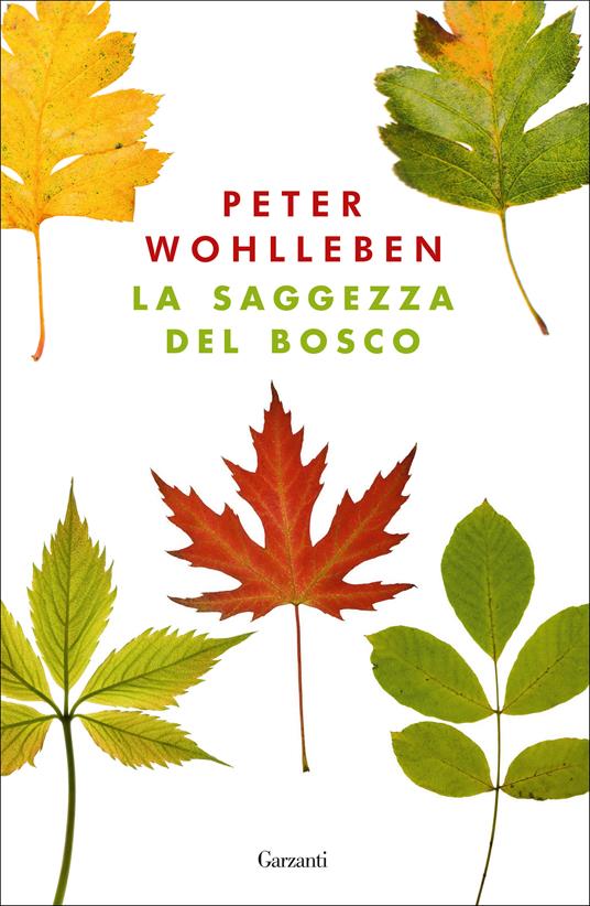 La saggezza del bosco - Peter Wohlleben,Roberta Magnaghi,Alessandra Petrelli - ebook