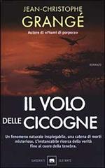 Il volo delle cicogne