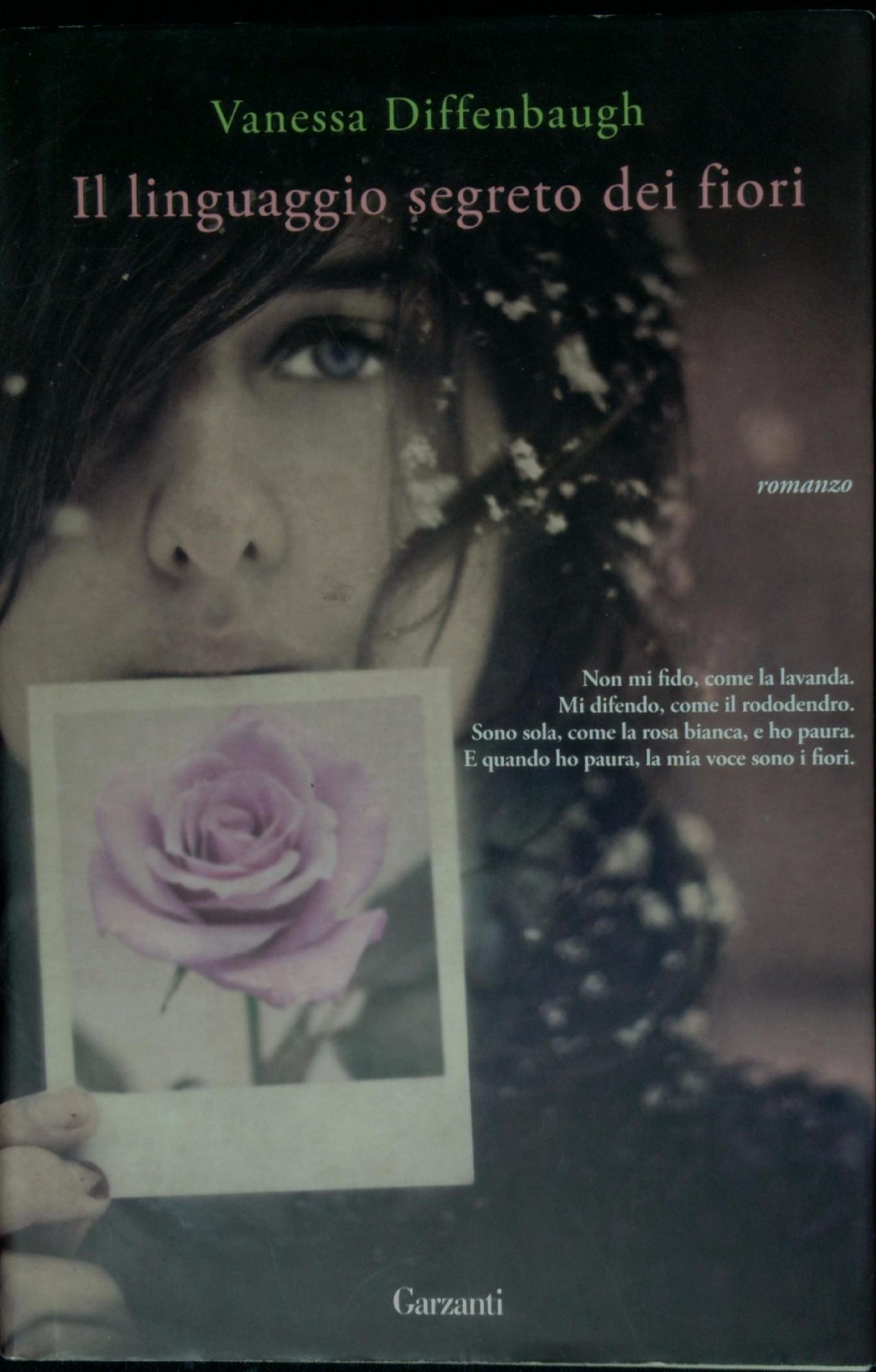 Libreria Serendipity
