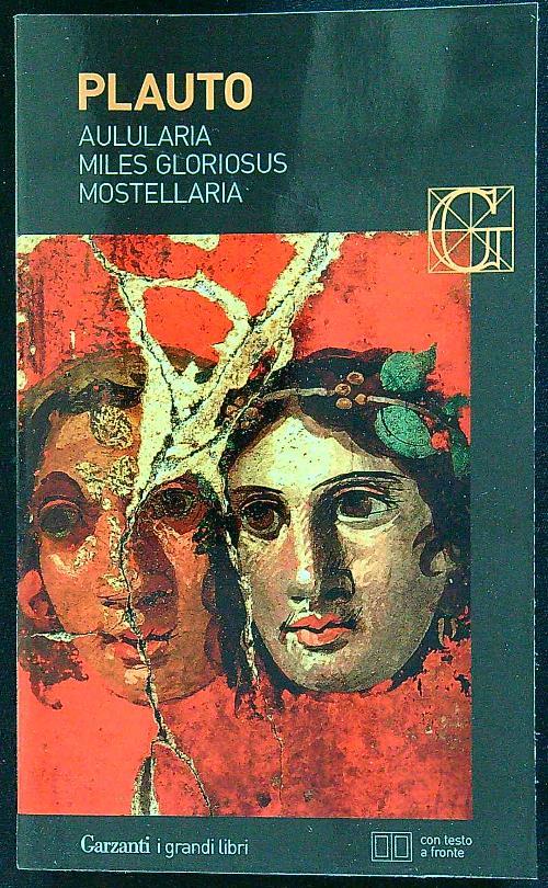 Libro di Faccia