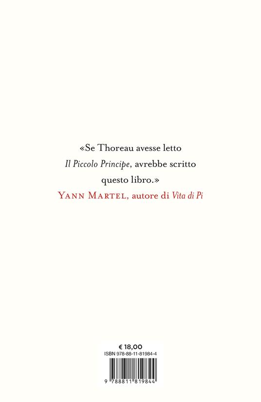 Una volpe per amica - Catherine Raven - 4