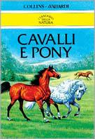 Cavalli e pony - copertina