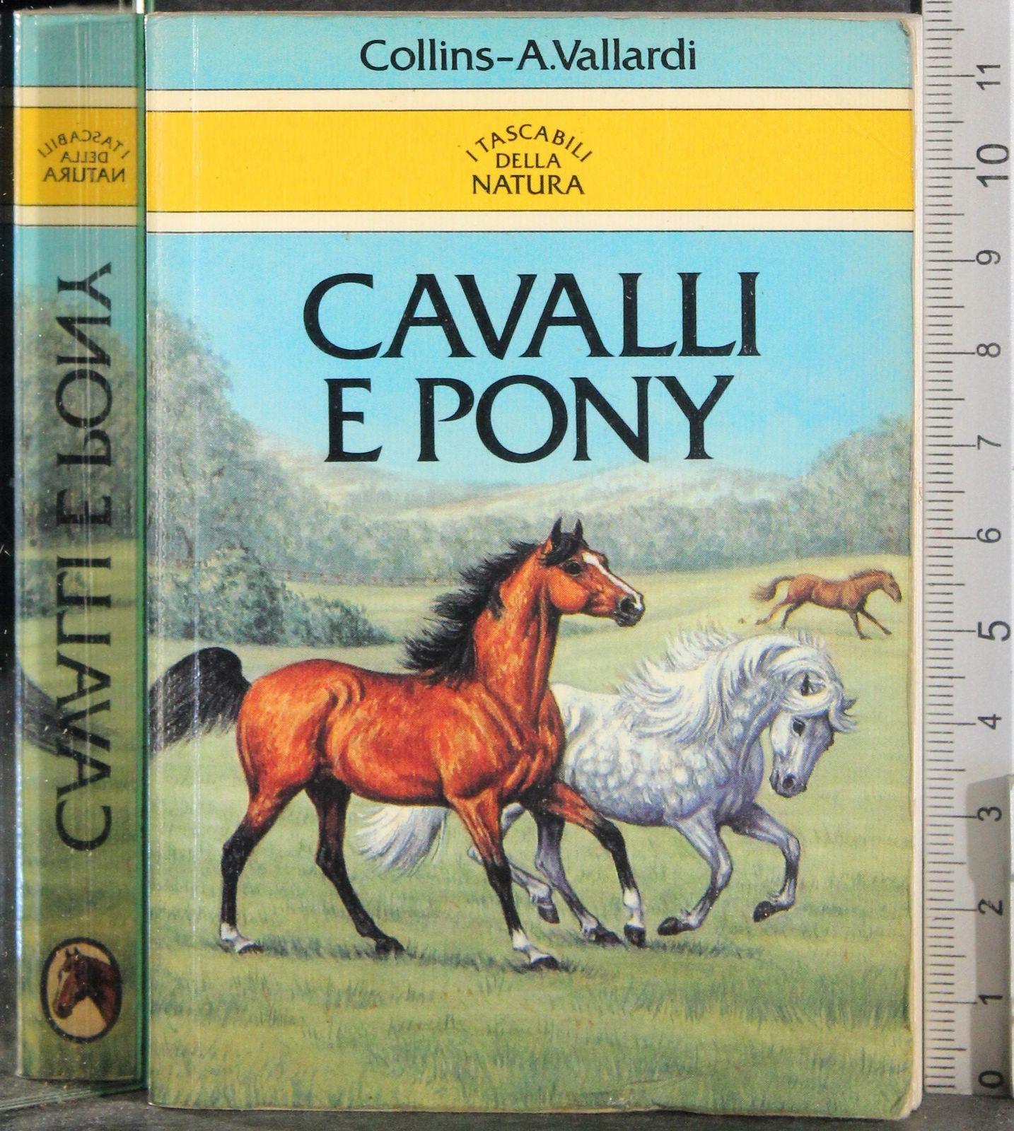 Cavalli e pony