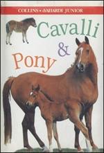 Cavalli e pony