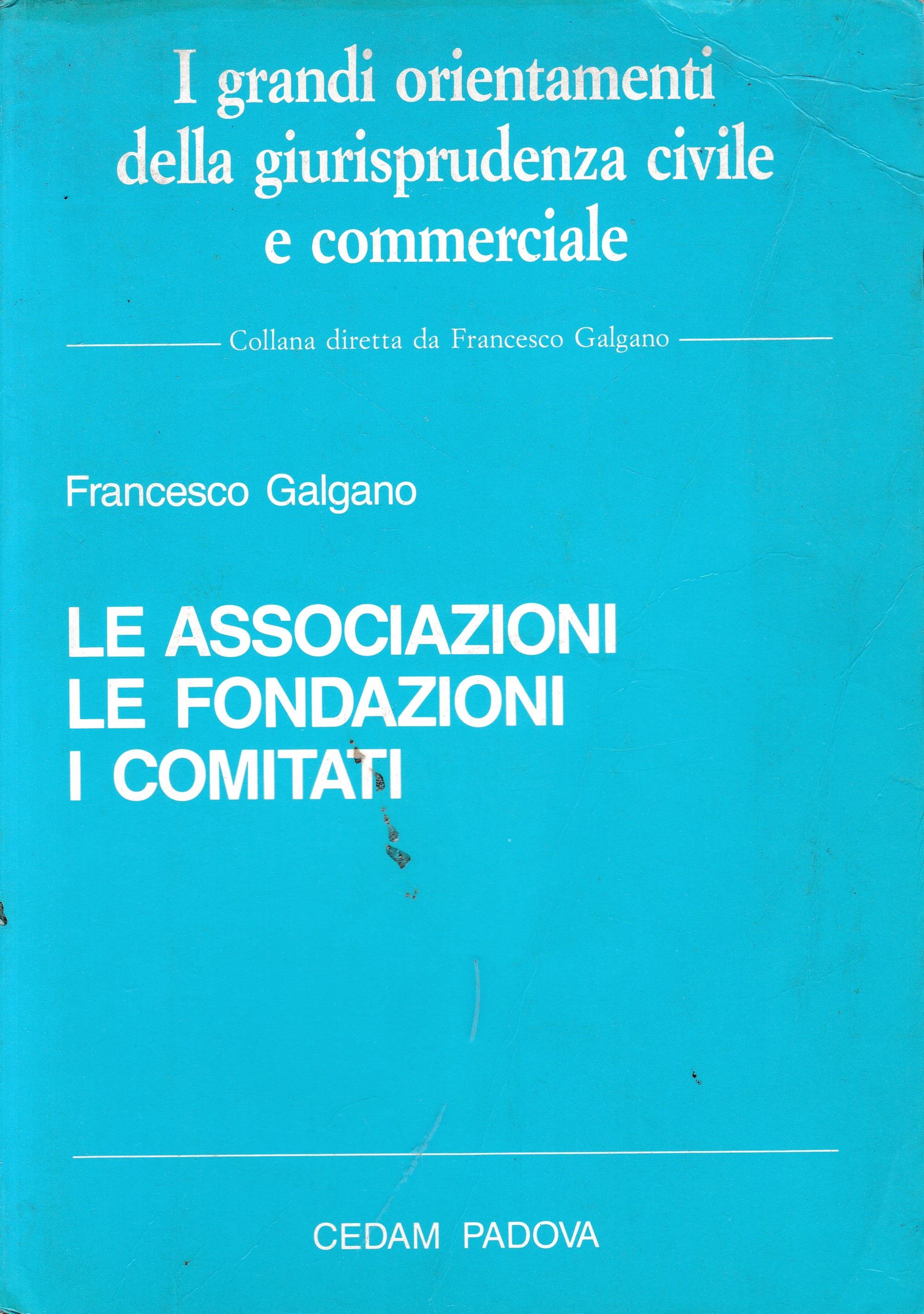 Le associazioni. Le fondazioni. I comitati