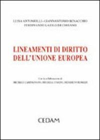 Lineamenti di diritto dell'Unione Europea - Luisa Antoniolli Deflorian,Giannantonio Benacchio,Ferdinando Lajolo di Cossano - copertina