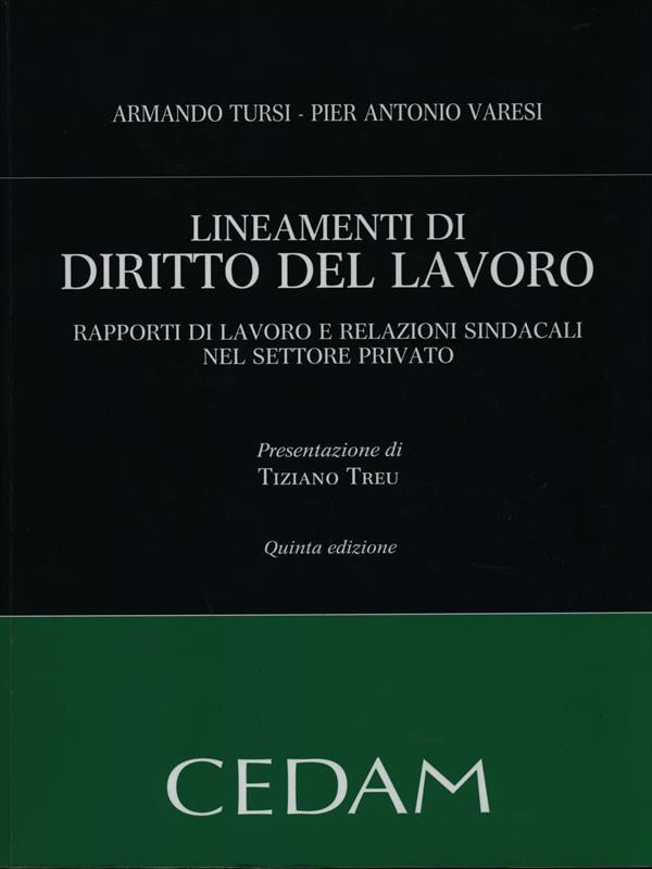 Lineamenti di diritto del lavoro. Rapporti di lavoro e relazioni sindacali nel settore privato