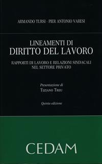 Lineamenti di diritto del lavoro. Rapporti di lavoro e relazioni sindacali nel settore privato