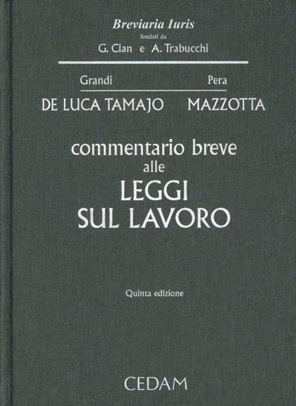 Commentario breve alle leggi sul lavoro - Raffaele De Luca Tamajo,Oronzo Mazzotta - copertina