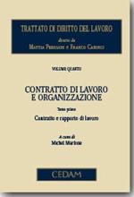 Trattato di diritto del lavoro. Vol. 4: Contratto di lavoro e organizzazione