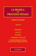 pratica del processo penale. Vol. 3: pratica del processo penale