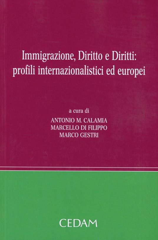 Immigrazione, diritto e diritti. Profili internazionalistici ed europei - copertina