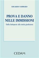 Prova e danno melle immissioni. Dalla fattispecie alla tutela giudiziaria