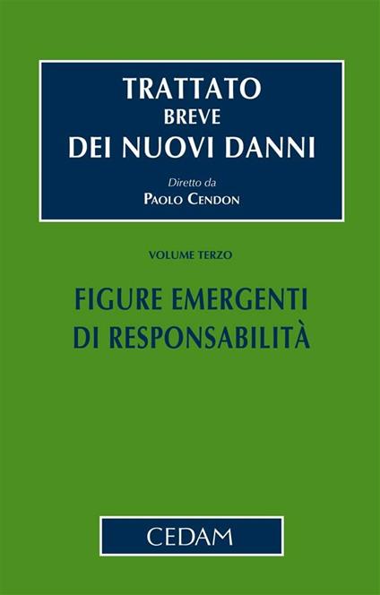 Trattato breve dei nuovi danni. Vol. 3 - Paolo Cendon - ebook
