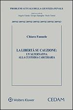 La libertà su cauzione. Un'alternativa alla custodia carceraria
