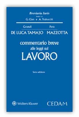 Commentario breve alle leggi sul lavoro - Raffaele De Luca Tamajo,Oronzo Mazzotta - copertina