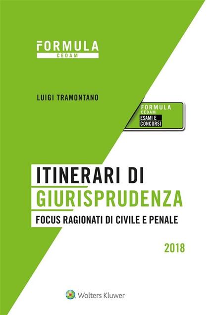 Itinerari di giurisprudenza. Focus ragionati di civile e penale - Luigi Tramontano - ebook