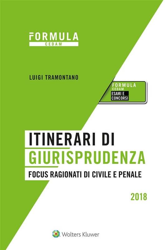 Itinerari di giurisprudenza. Focus ragionati di civile e penale - Luigi Tramontano - ebook