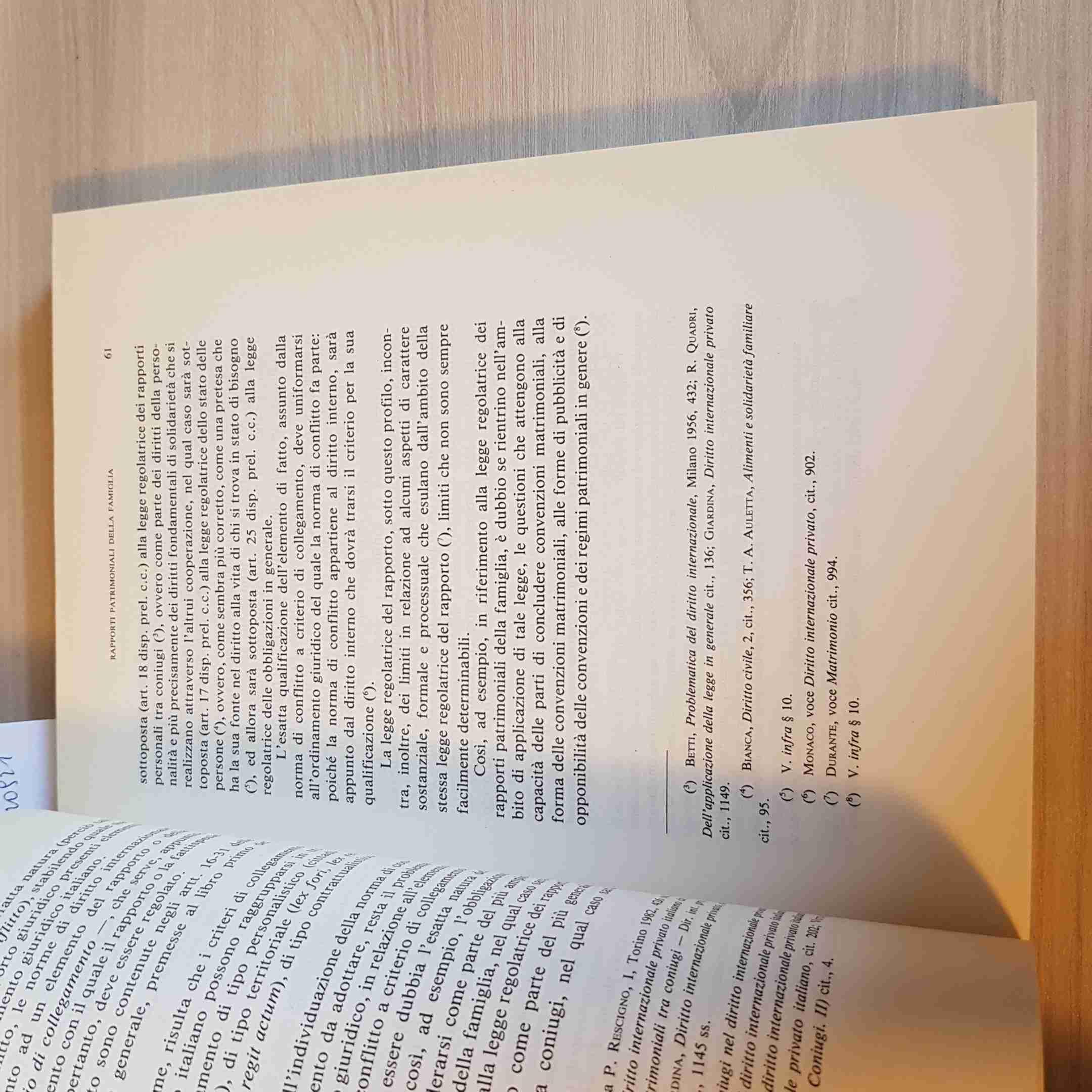 Il diritto patrimoniale della famiglia coniugale. Vol. 1