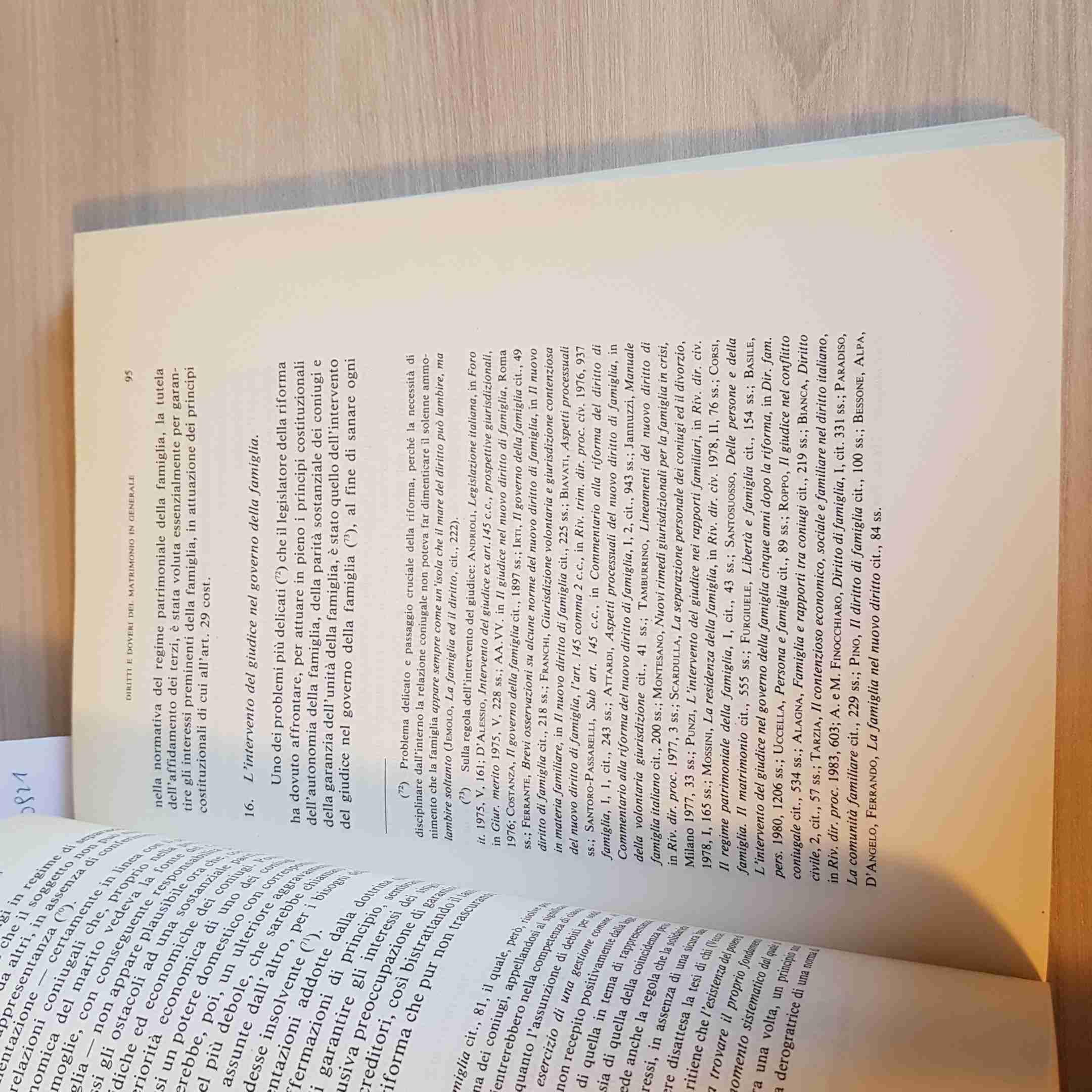 Il diritto patrimoniale della famiglia coniugale. Vol. 1