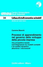 Processi di apprendimento nel governo dello sviluppo della piccola impresa. Una prospettiva basata sull'integrazione tra modelli contabili.. Con CD-ROM