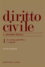 Diritto civile. Vol. 1: La norma giuridica. I soggetti.