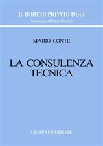 La consulenza tecnica