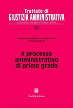 Il processo amministrativo di primo grado