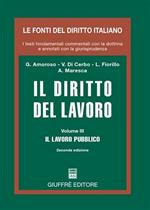 Diritto del lavoro. Vol. 3: Il lavoro pubblico.