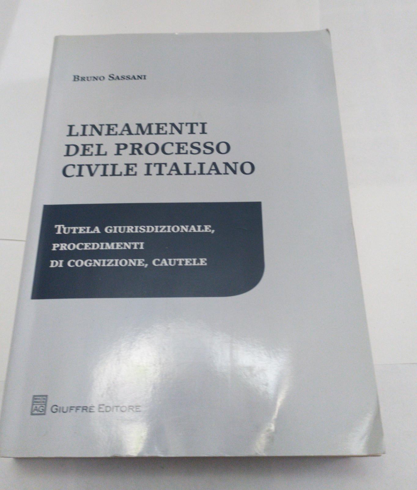 Lineamenti del processo civile italiano. Tutela giurisdizionale, procedimenti di cognizione, cautele