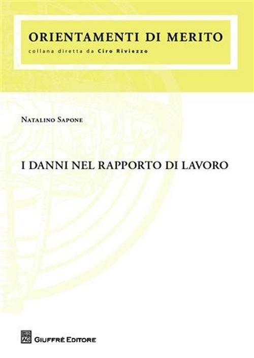 I danni nel rapporto di lavoro - Natalino Sapone - copertina