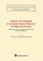 Droits de l'homme et juridictions penales internationales