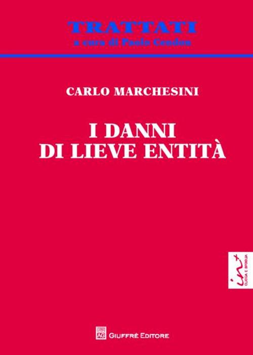 I danni di lieve entità - Carlo Marchesini - copertina