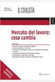 Mercato del lavoro: cosa cambia - Marco Giardetti - copertina