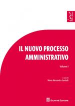 Il nuovo processo amministrativo. Studi e contributi. Vol. 1