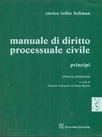 Manuale di diritto processuale civile. Principi
