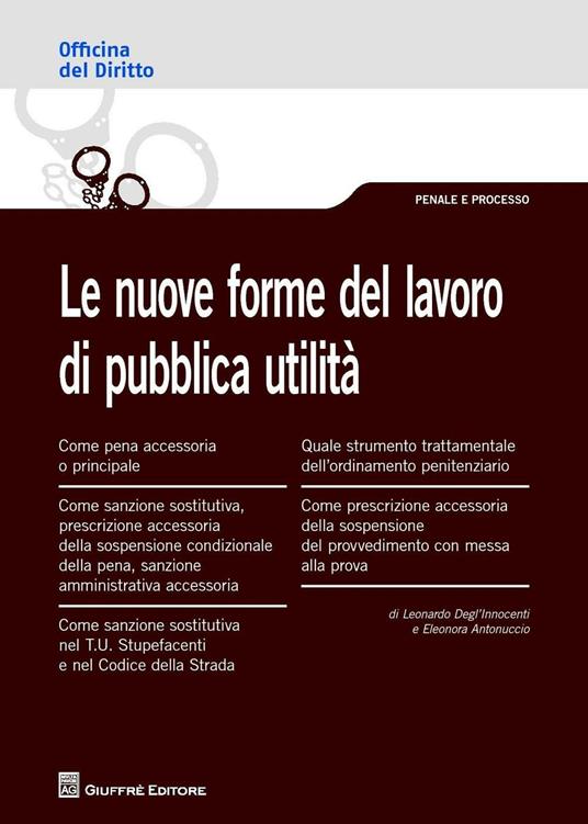 Le nuove forme del lavoro di pubblica utilità  - Eleonora Antonuccio,Leonardo Degl'Innocenti - copertina