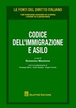 Codice dell'immigrazione e asilo